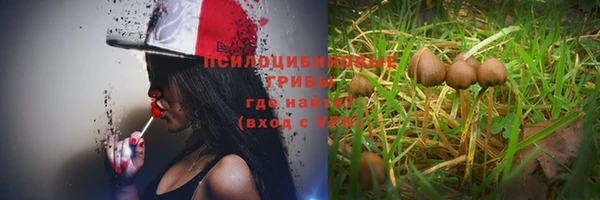 прущие крисы Кукмор