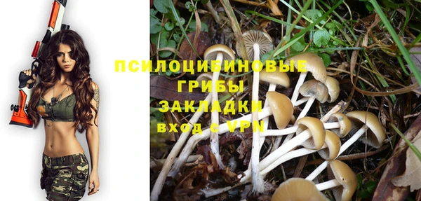 прущие крисы Кукмор
