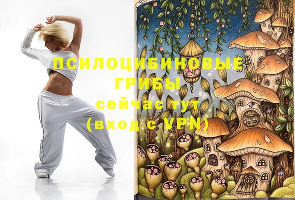амф Коряжма