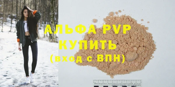 амф Коряжма
